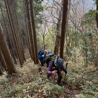 グレーピークでの急登試練の始まり😿