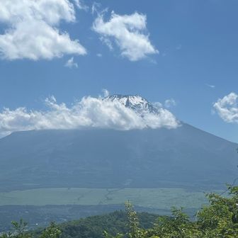 お、すこしだけ顔を出してくれました