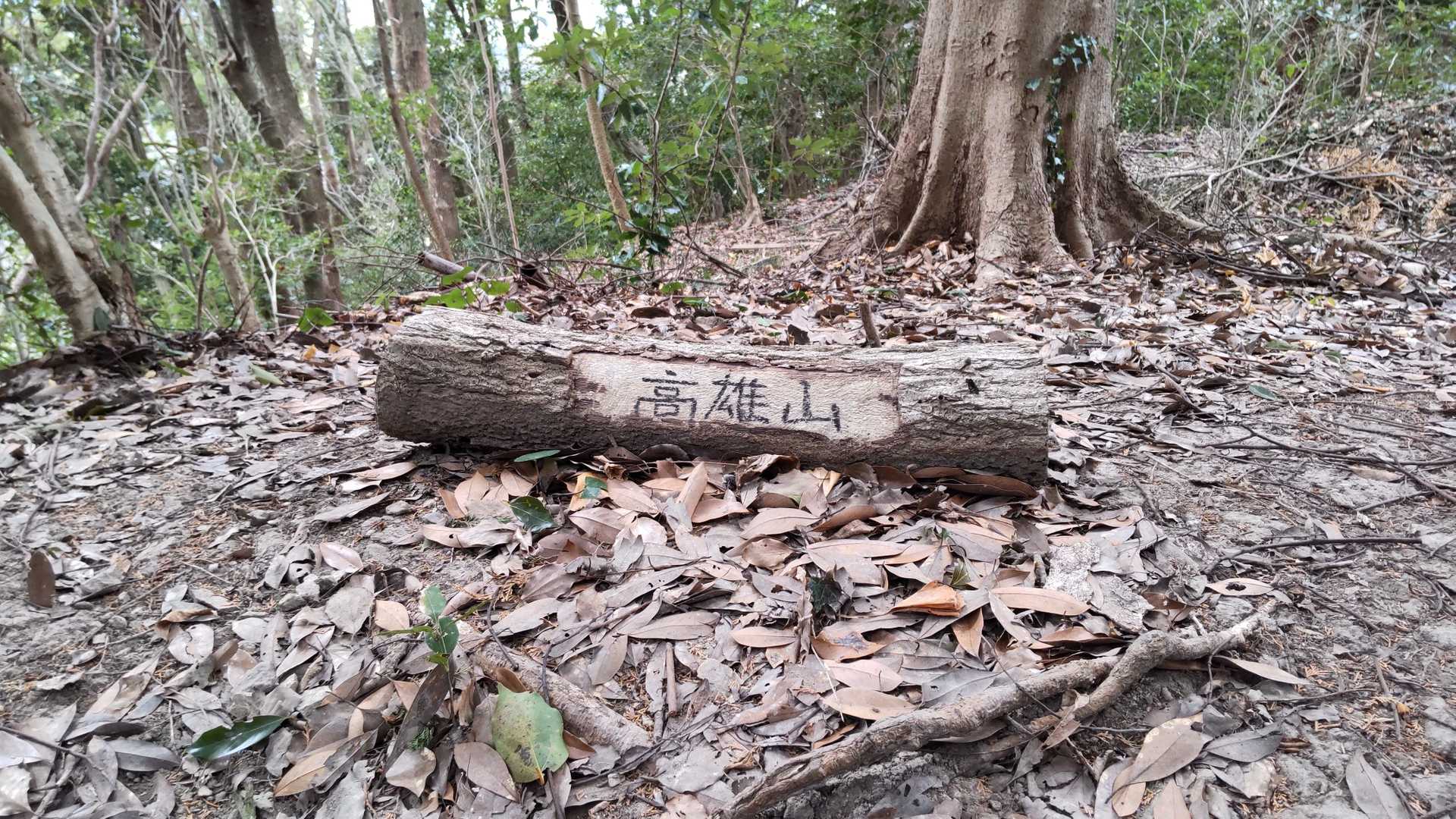 山頂標識✨