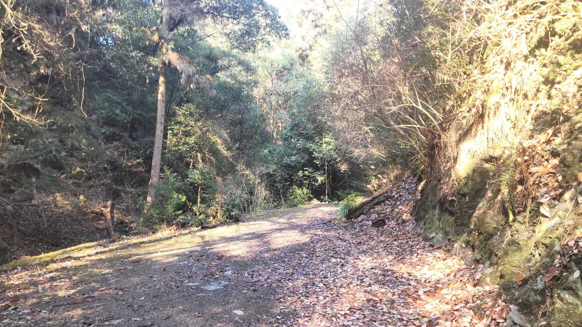 30分ほどの林道歩きの後、ここから山道です
