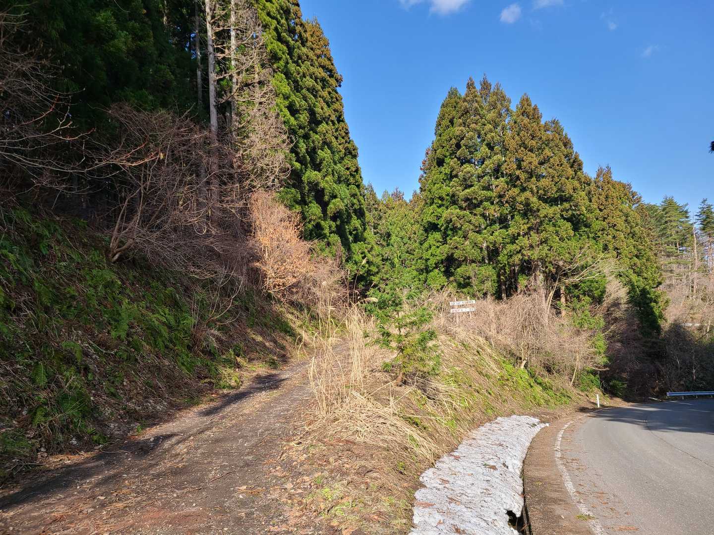 ここからお山へ入ります🐈‍⬛💨