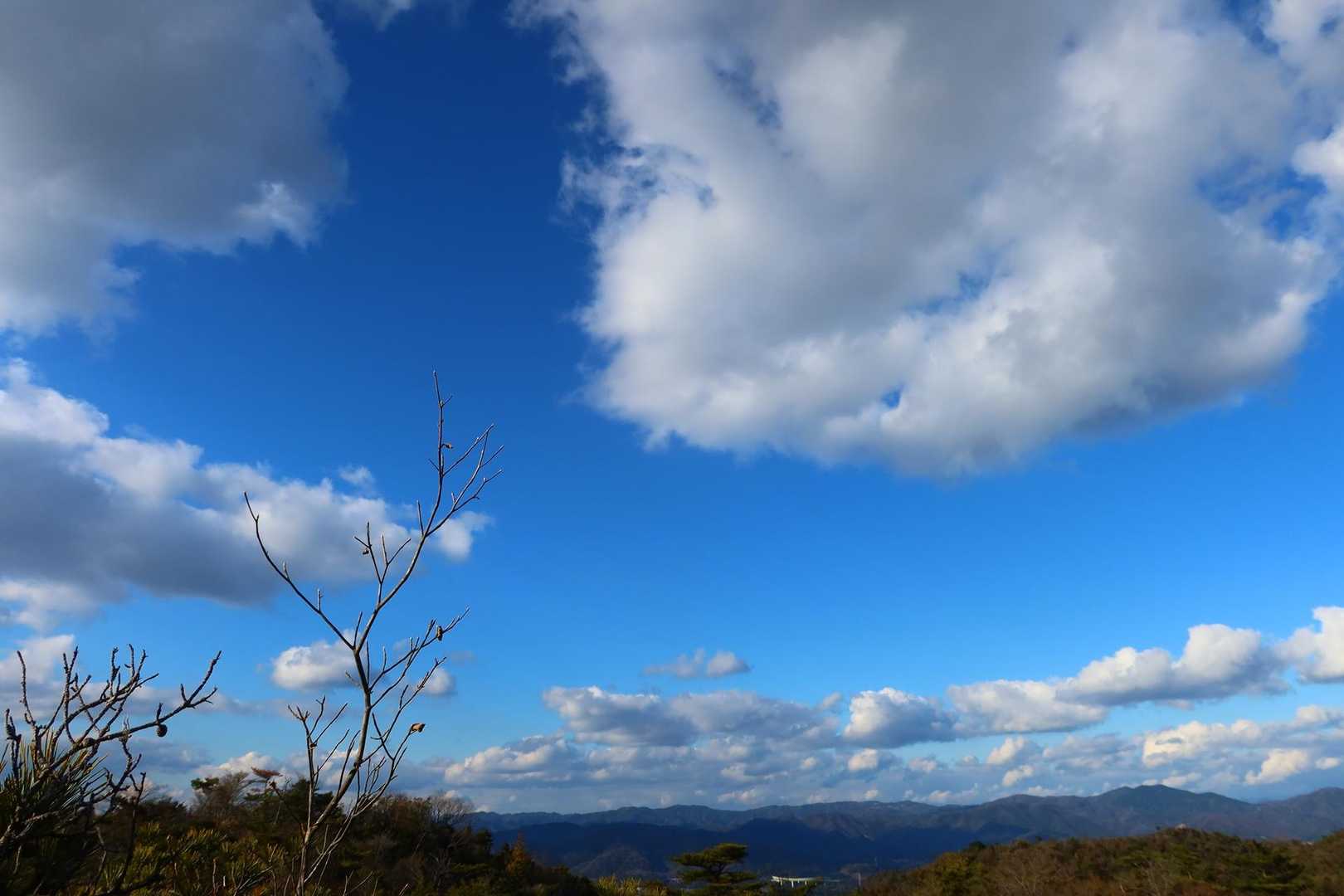 岩屋谷公園登山口-天下台山 往復コースの写真