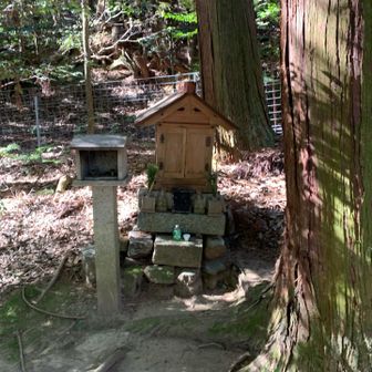 祠が有ります