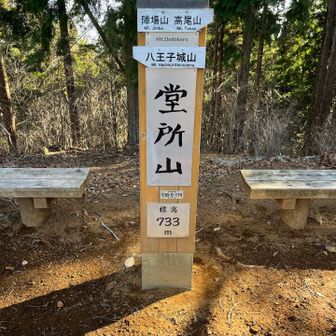 堂所山まで３時間半も掛かってしまい、もう今日はマンモス無理だなぁ、高尾に戻るかなぁと思いながらトボトボ歩いてたら、🦀さんとバッタリ

少し元気出て陣馬山までは行こうと思いました

なんと、あろりんさもいらっしゃるということでお会いできるかな、と期待しましたが残念ながらお会いできず