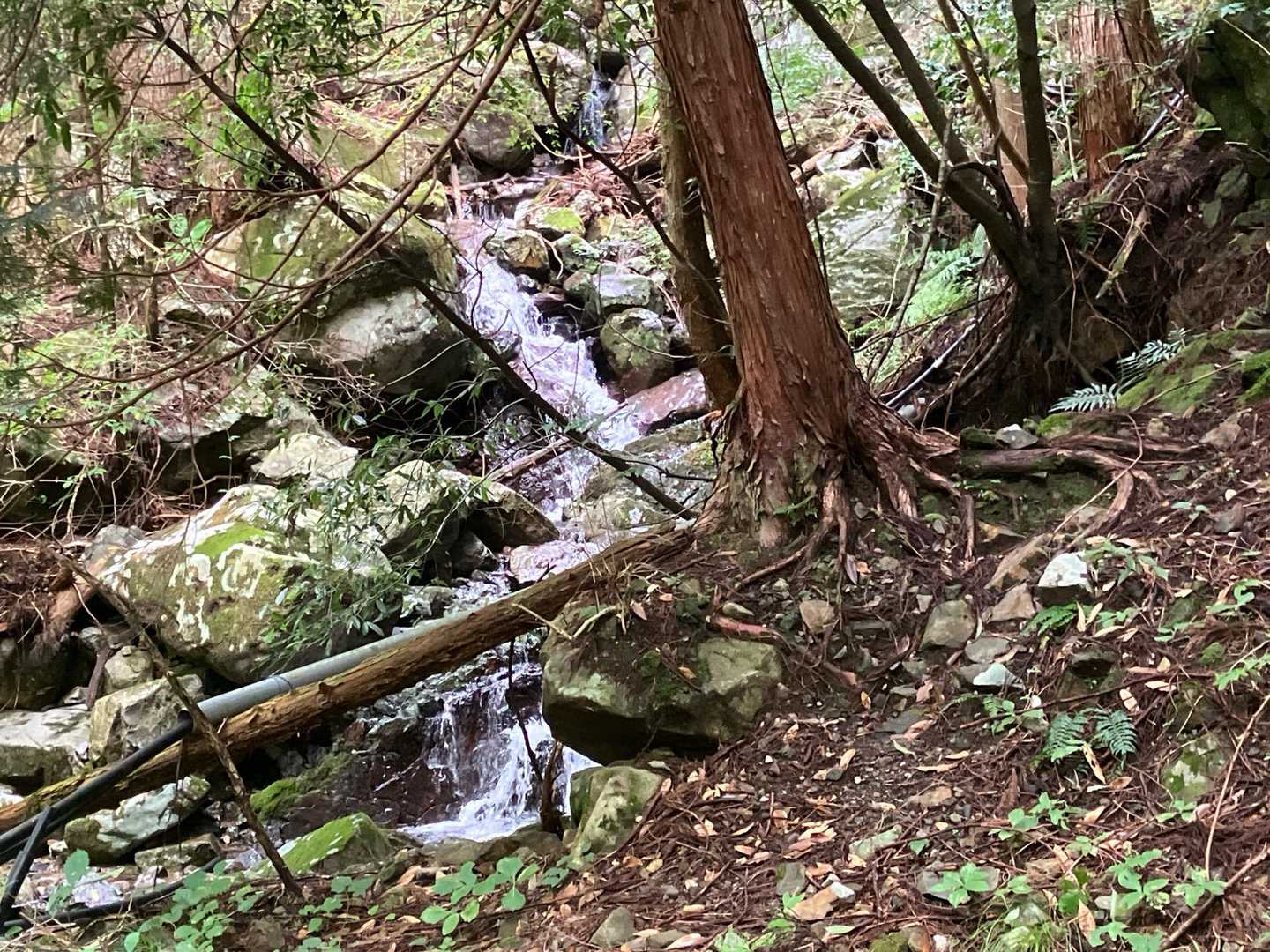 沢が心地よい