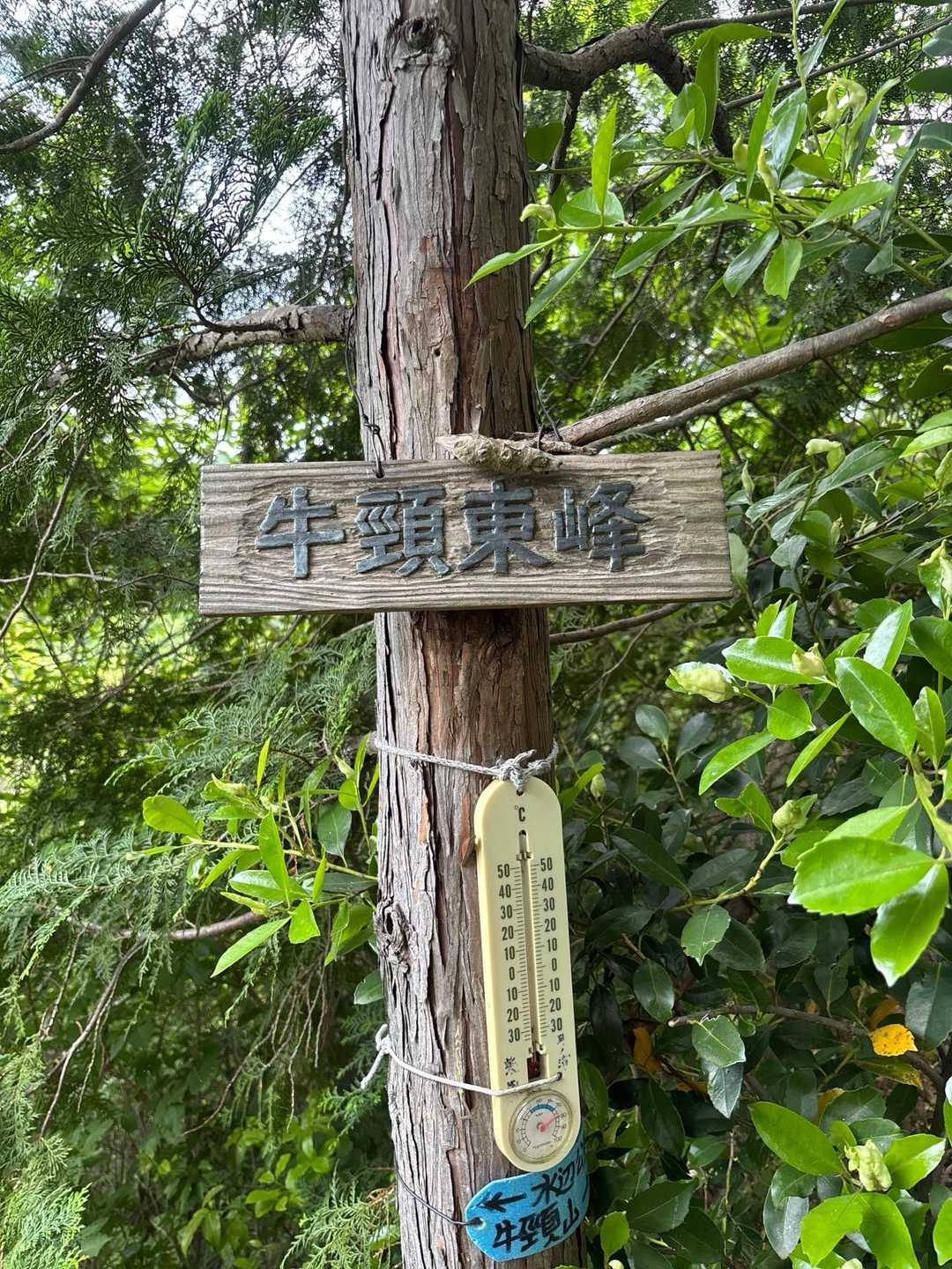 牛頸山入口-牛頸山 周回コースの写真