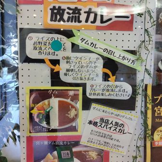 ダムと水エネルギー館のお食事処にて
レポとしては実食して画像と感想を載せるところなんですが、途中で昼ご飯を食べ過ぎでまして💦・・。