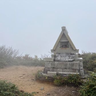 奧から帰ったとき
真っ白😶‍🌫️