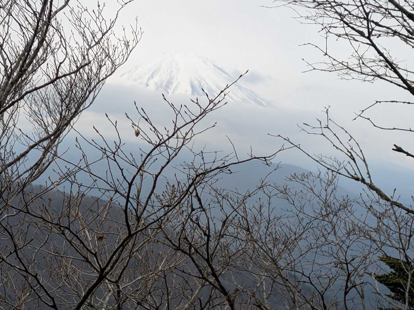 木々の間から見えた⤴⤴⤴