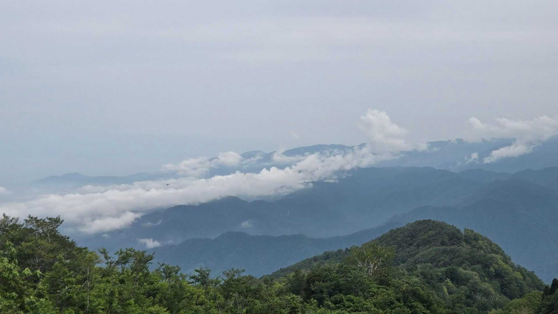前僧ヶ岳-僧ヶ岳-北駒ヶ岳-駒ヶ岳 往復コースの写真