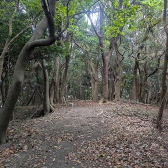 蜘蛛の巣🕸を食らいつつラストの影山ピーク