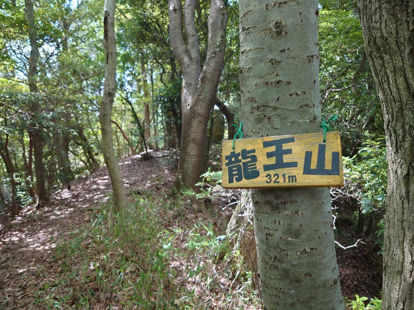 龍王山