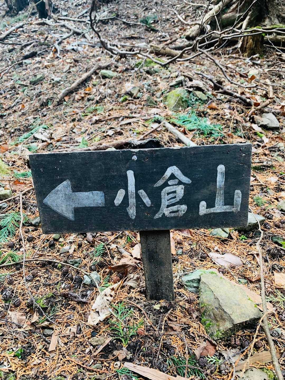 小倉山に行きましょう♪