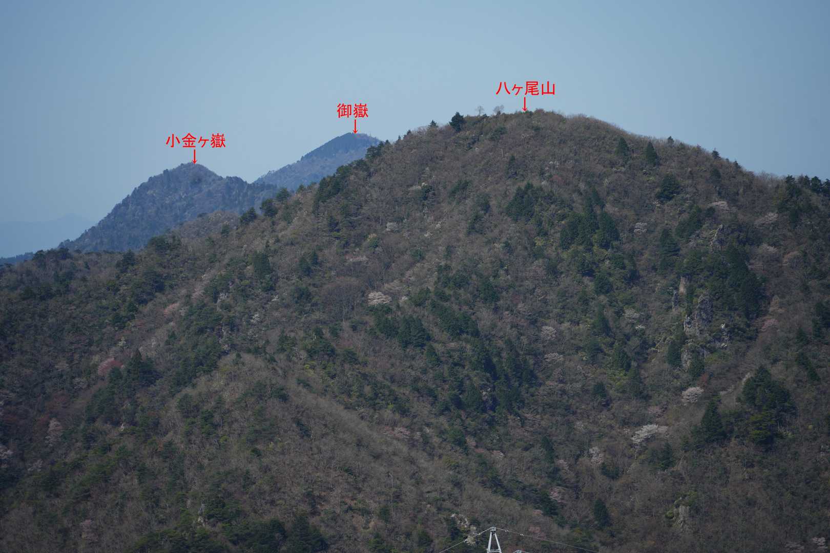 多紀連山。
クリンソウが咲き始めると行きたい御嶽〜小金ヶ嶽。