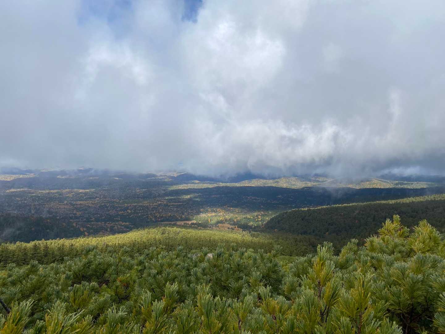 雌阿寒温泉登山口-雌阿寒岳-阿寒富士 往復コースの写真