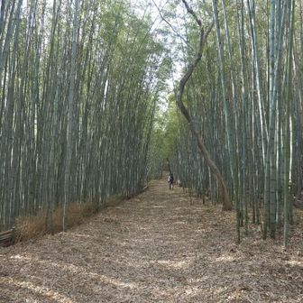 これも素敵な景色だ