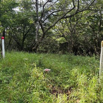 三角点“立山”は展望台付近に。山頂ではない？
