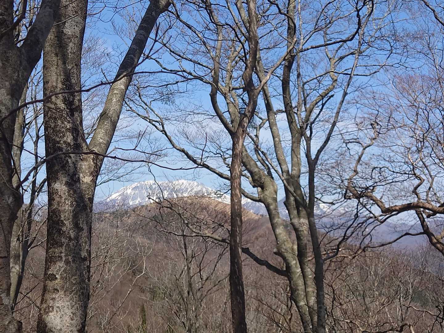 まだ木に葉がないので、大山がずっと見えてました。