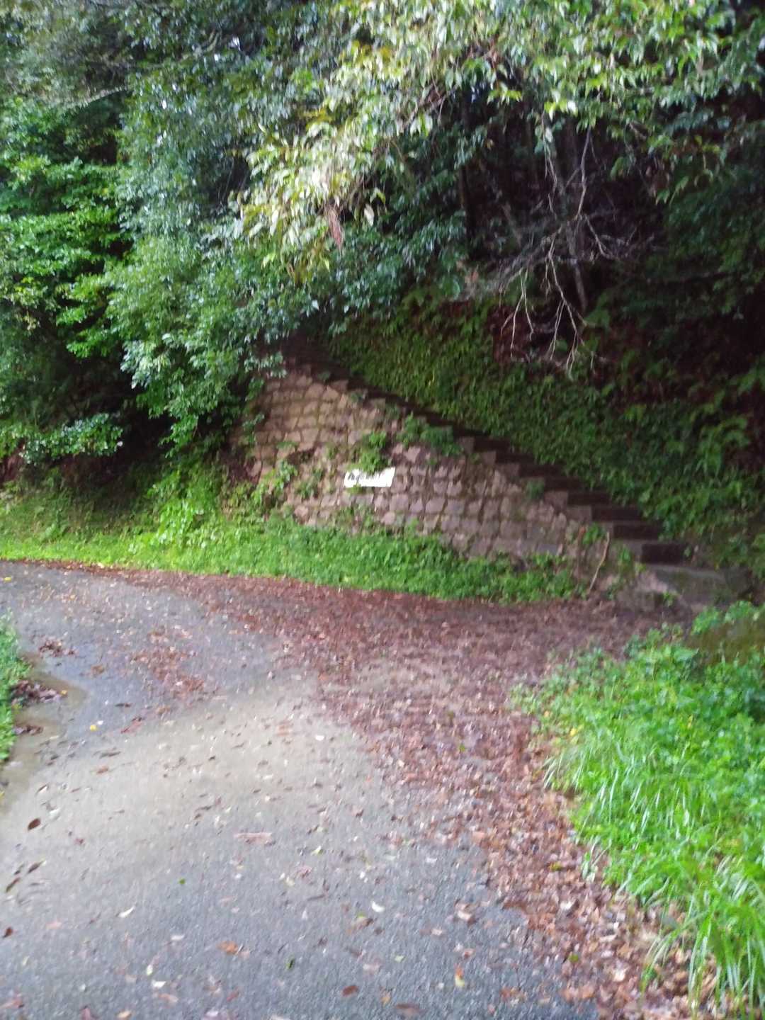 登山口