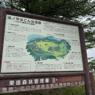 下りてきて池の平湿原へ
湿原の周りに小さな外輪山があり
山歩きと湿原歩きの両方が楽しめます✨