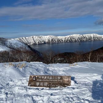 軽く埋まっていたので掘り起こしました。