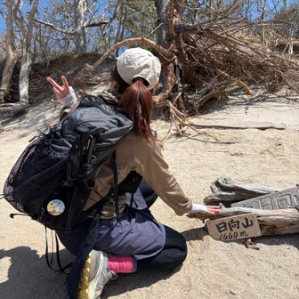 砂浜の上には流木みたいな木もあり、ホントビーチみたい🏖️