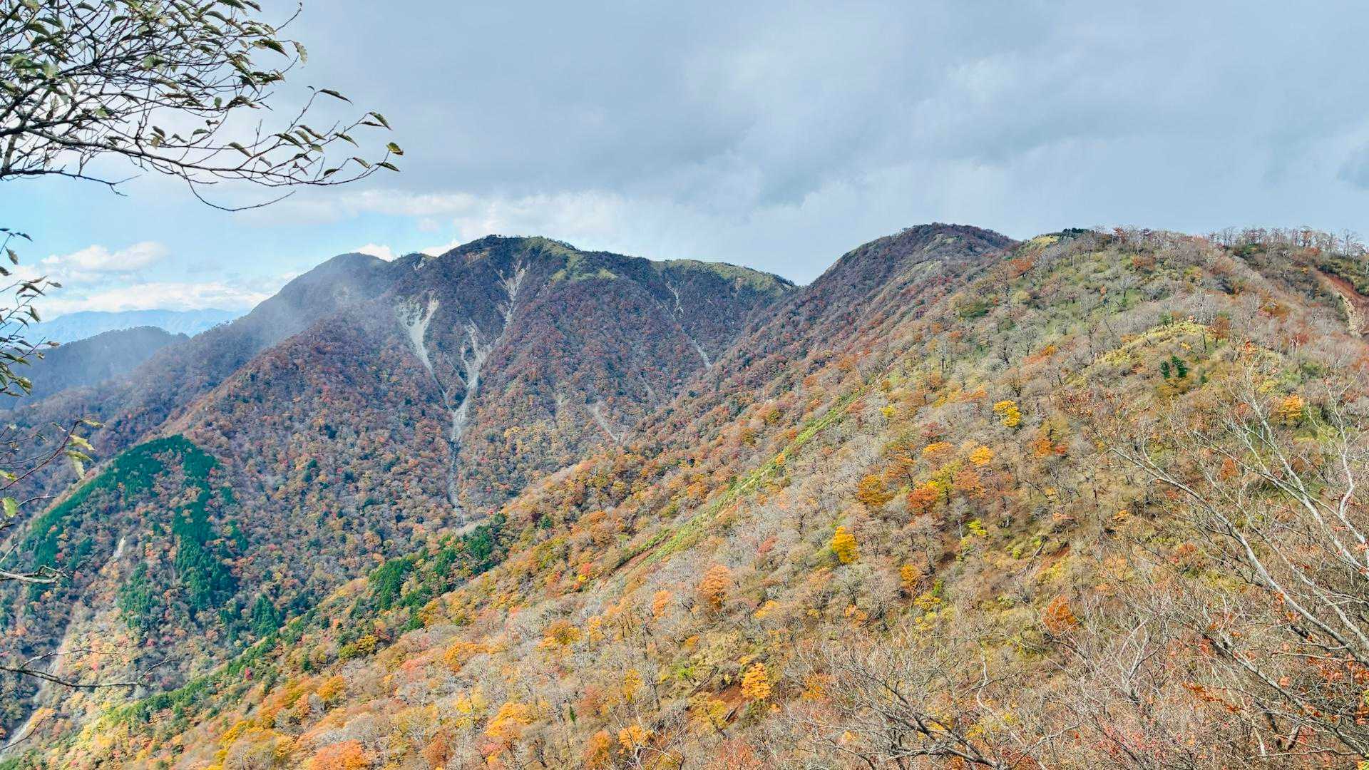 焼山登山口バス停-焼山-姫次-蛭ヶ岳-鬼ヶ岩ノ頭-不動ノ峰 縦走コースの写真