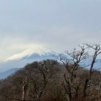 大室山・畦ヶ丸・菰釣山 アップで