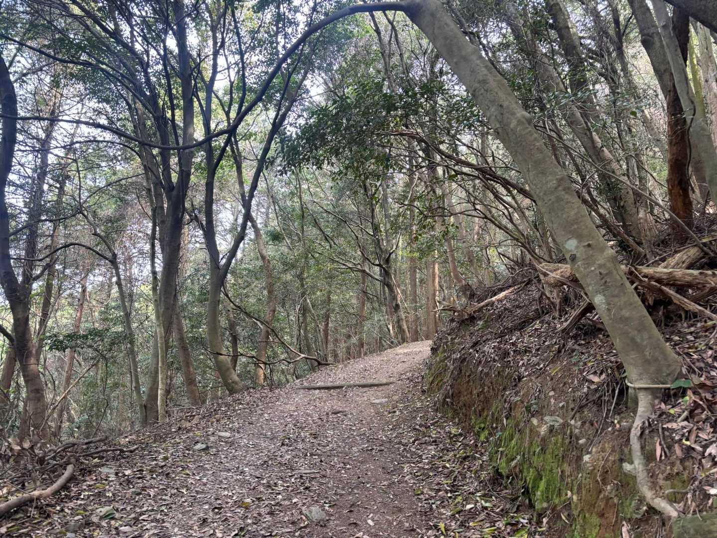 平日にも関わらず、
登られる方が多く
こんな広くて
歩きやすい登山道なのも
理由の一つかも