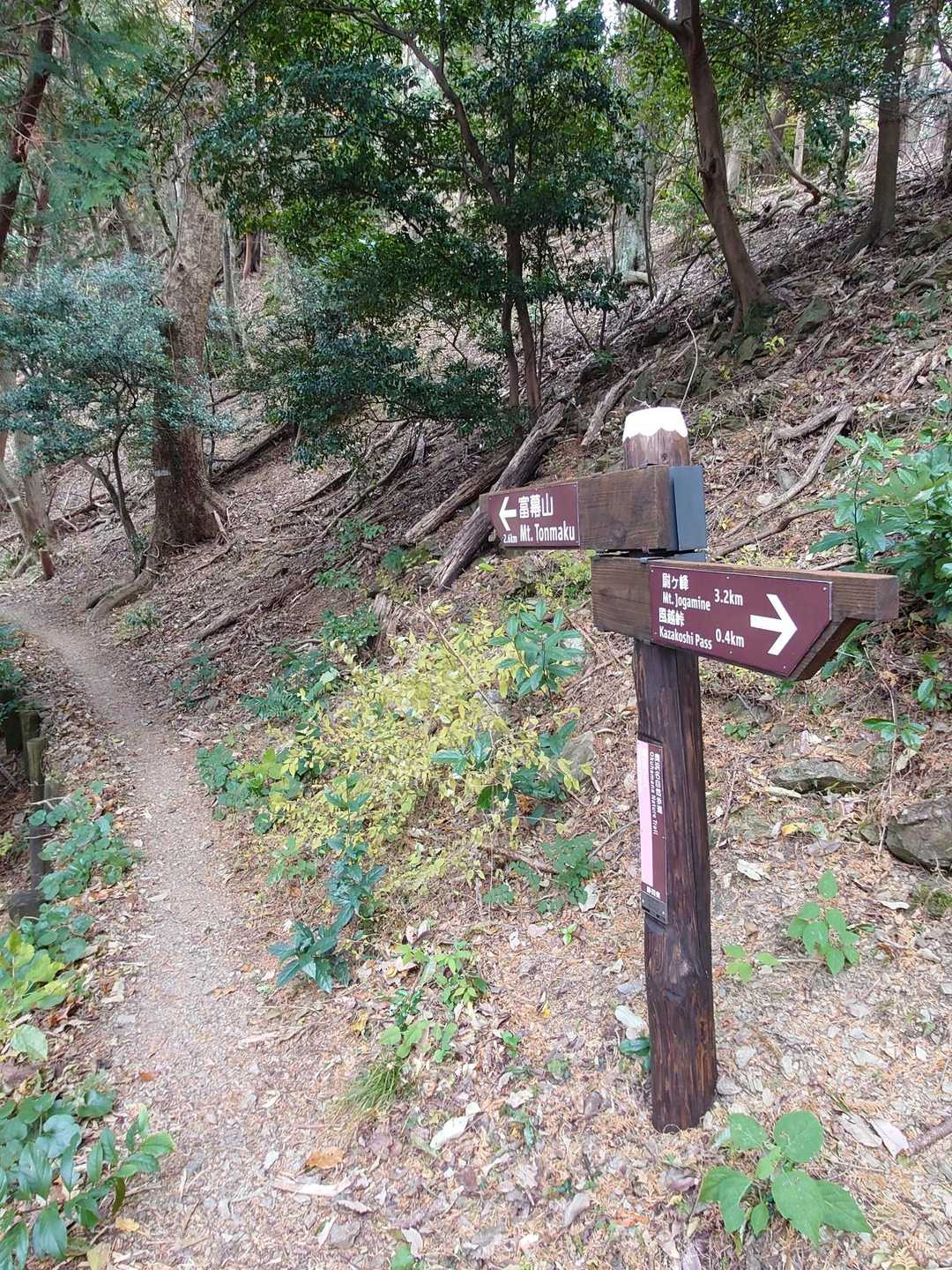 あれっ、道標がお化粧直し(ニス塗り直し)されている✨️