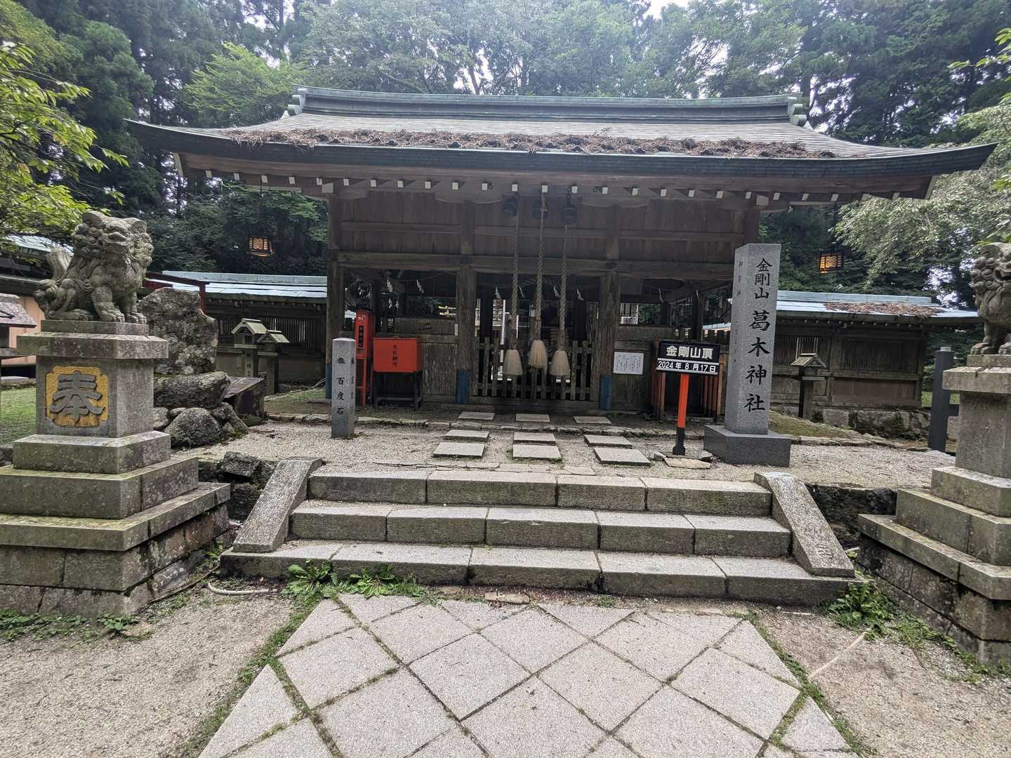 水越峠登山口-金剛山 往復コースの写真