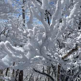 まるルートくん