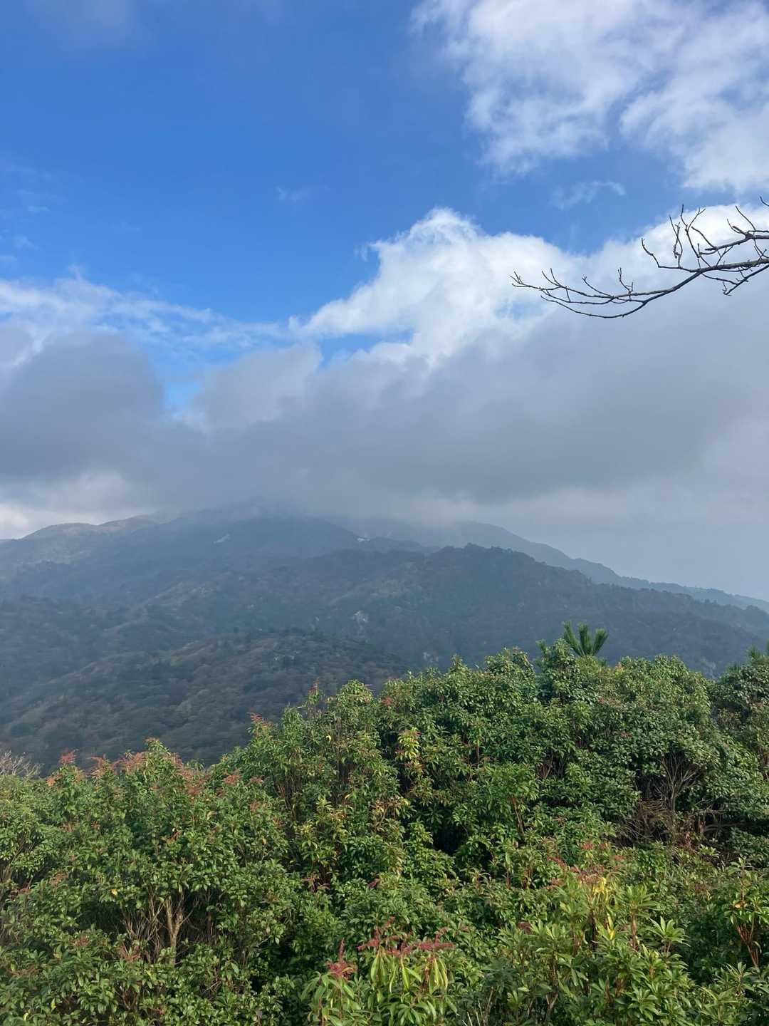 朝明登山口-中峠-金山-羽鳥峰 往復コースの写真