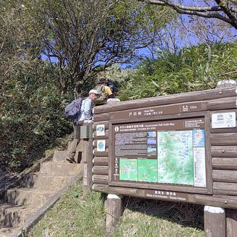 達磨山へはここから