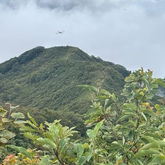 三座目、「駒の頭」へ。
登山道がずっと続く。
