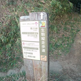 ここはいつも迷う。いったいどっち？