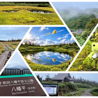 ではでは、八幡沼を周回しましょう🎶
(一瞬で曇り空に🫩)
