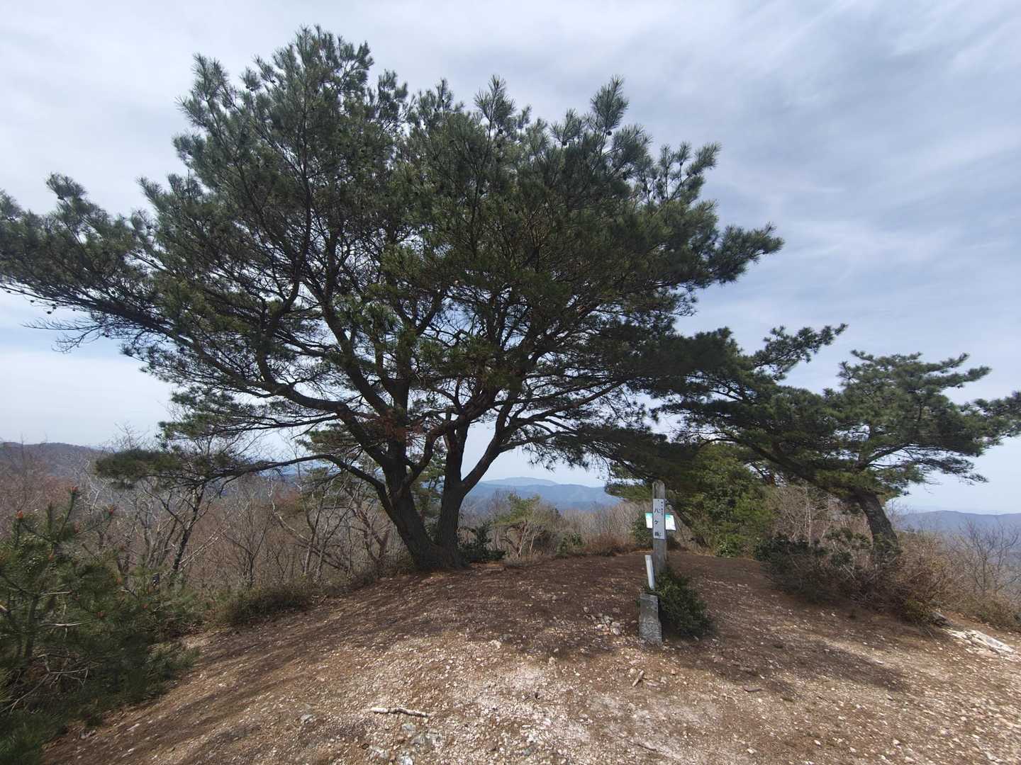 山頂の景色。