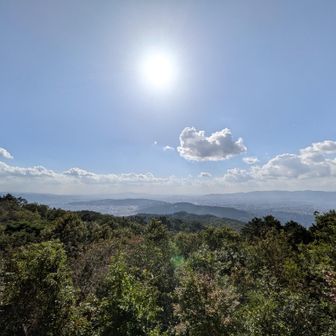 京都市内を一望