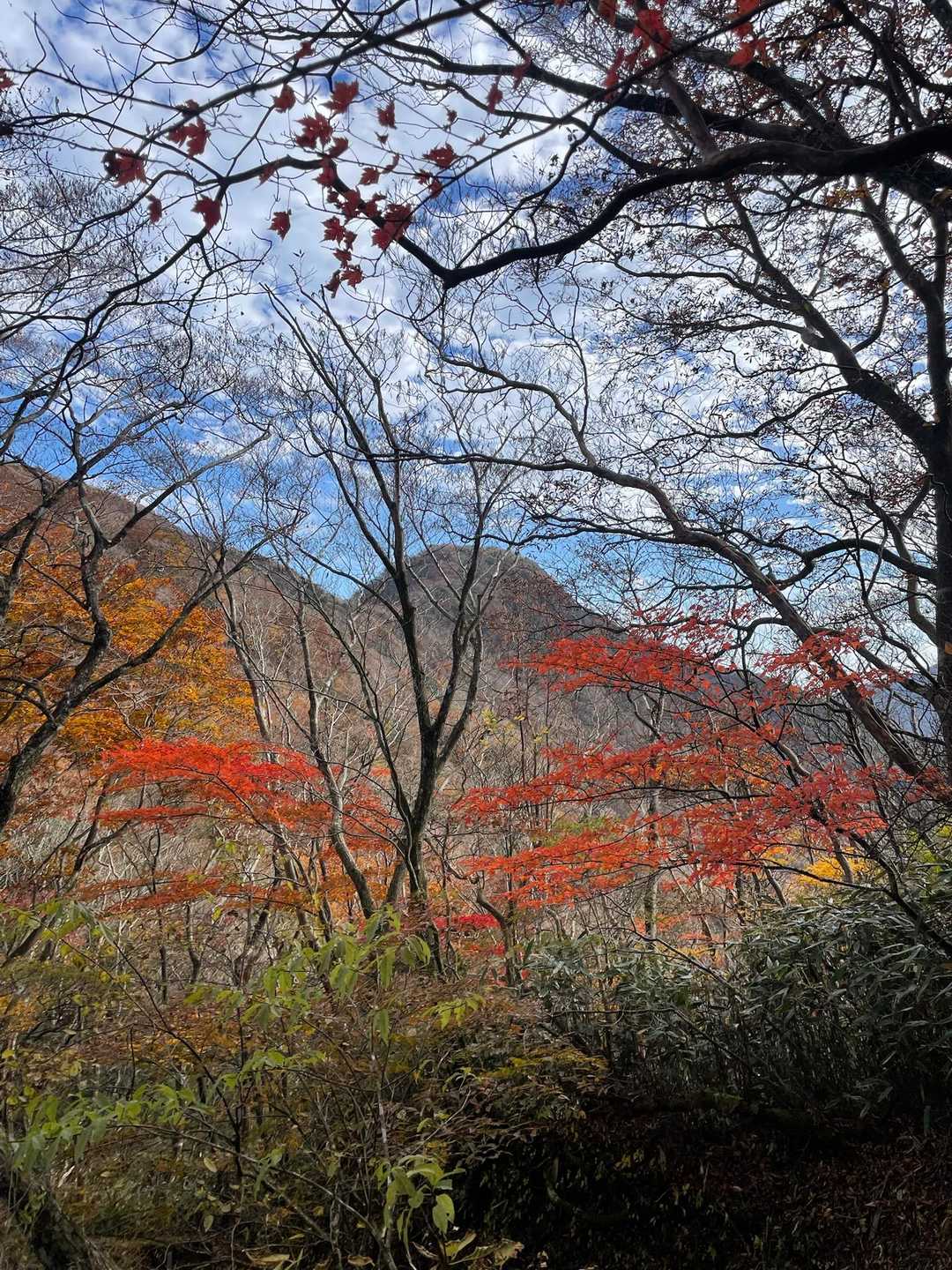 山頂目視