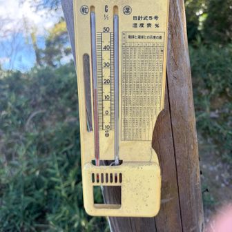 17℃ 歩くと暑い　半袖推奨