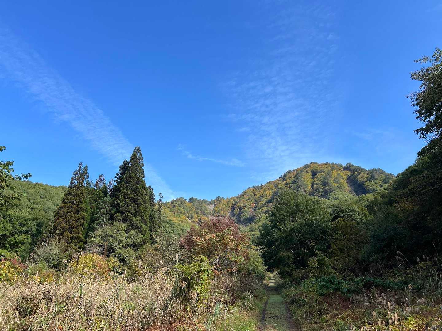 無事に下山❗️
唐倉山、久しぶりに楽しかったな🥾