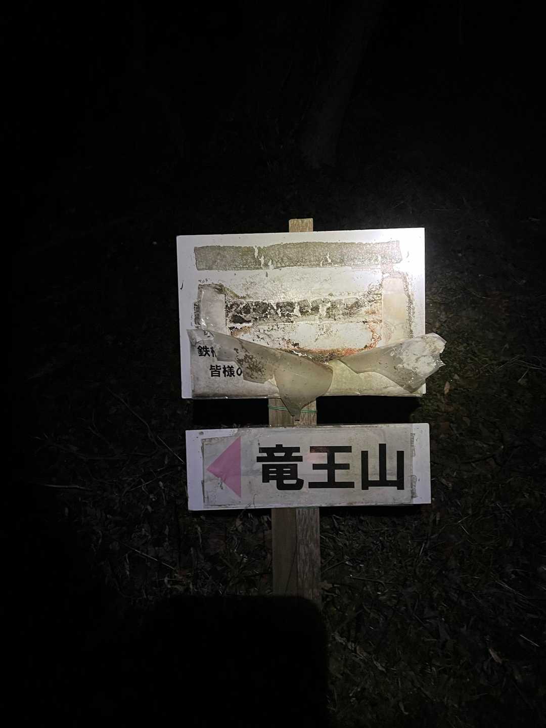 本年も宜しくお願い致します(๑･̑◡･̑๑)