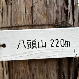 ちゃく💦。。。。。。

この後、ショート.カット道で下山⤵️