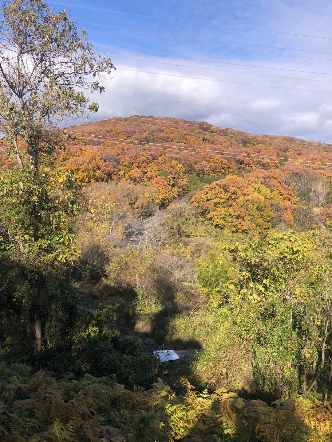 まだまだ紅葉🍁の山容です😳