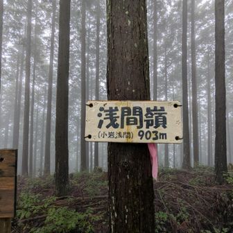 このフォントはよくない。
