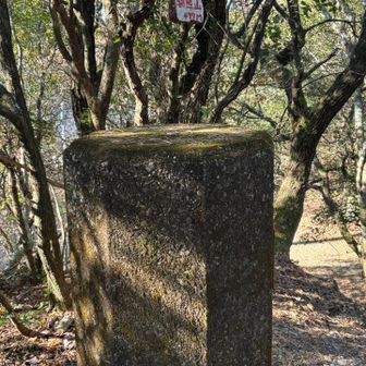 ここらへんですでにわんちゃんの吠える声が聞こえる…