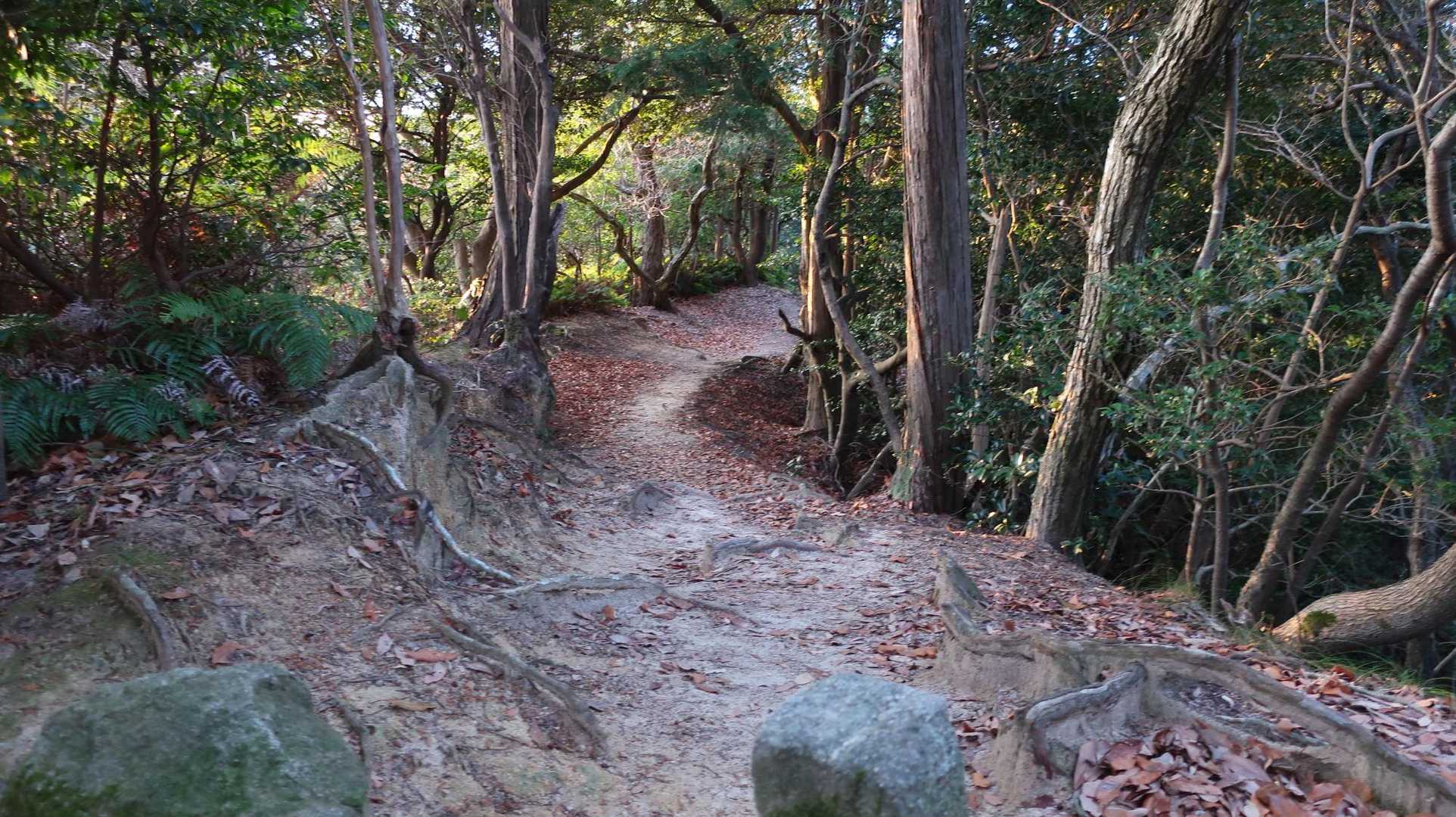 飯盛山へ