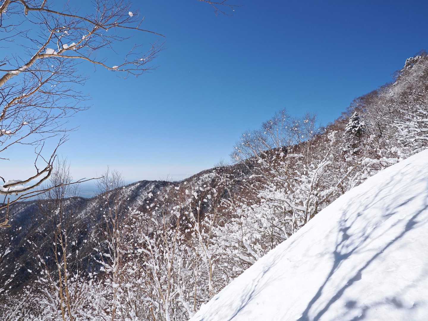 黒滝山登山口-三石山-サル山-山藤山-黒滝山 往復コースの写真