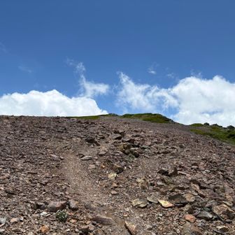 またも晴れた晴れた😂
雨予報はどこ行ったのじゃw